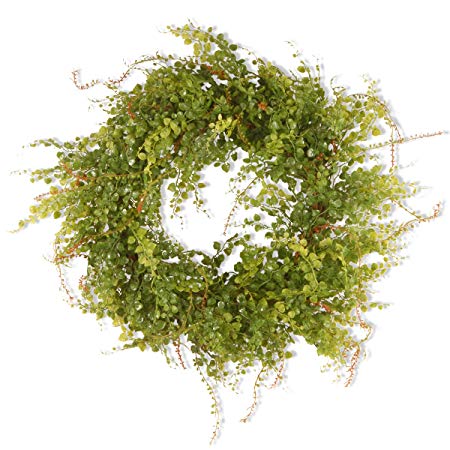 National Tree 22 Inch Berry Wreath with Boxwood Leaves and Green Berries (GAHB30-22WG)