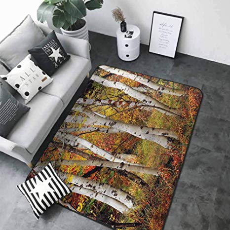 Bedroom Living Room Area Rug Fall,White Birch Trees Serenity 80 x 58 in Best Floor mats