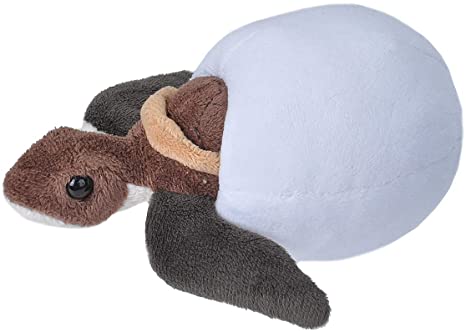 Wild Republic Loggerhead Sea Turtle Plush, Stuffed Animal, Plush Toy, Kids Gifts, Hatchlings 6 Inches