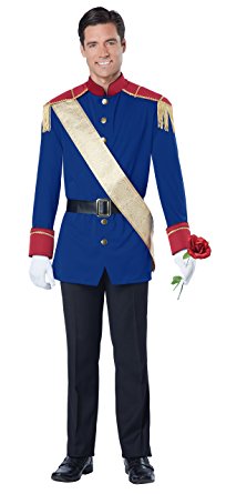 California Costumes Storybook Prince Adult Costume-