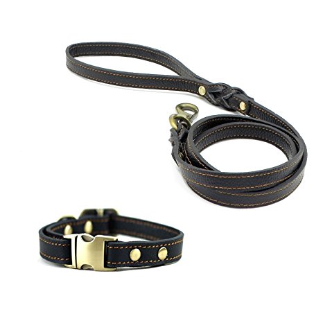 Wellbro® Pet Luxury Genuine Leather Collar and Leash Set, Adjustable, Soft Touch and Sturdy, for Small Medium Dogs, 4ft