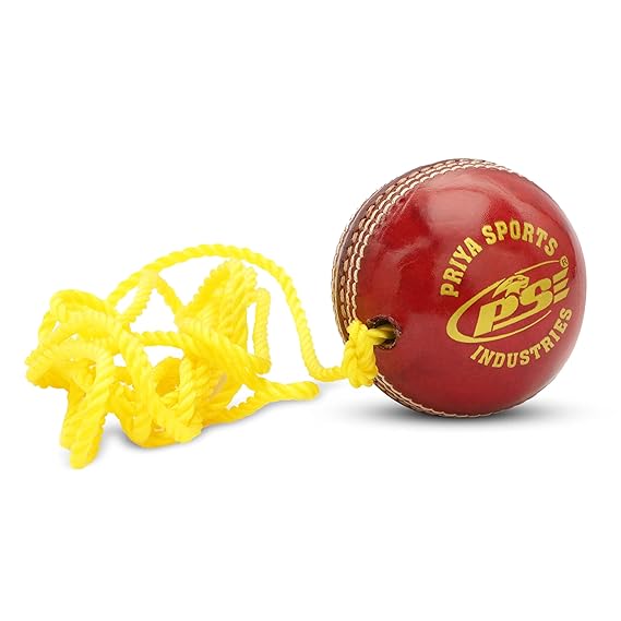 PSE Priya Sports Leather Match Practice Hanging Cricket Ball Red