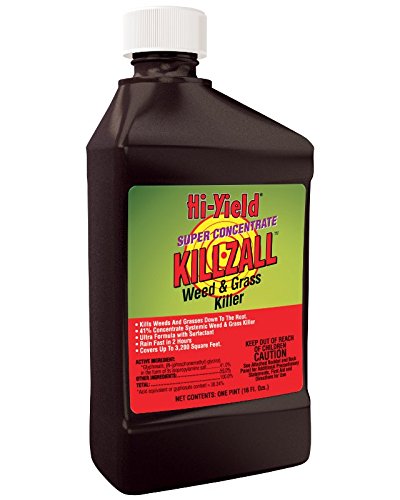 Killzall Weed and Grass Killer - 41% Glyphosate