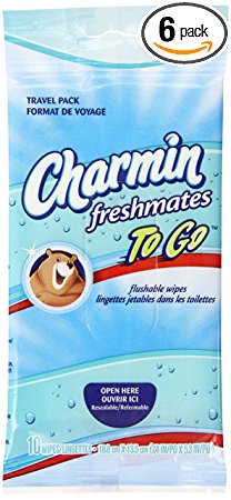 Charmin To Go Freshmates Flushable Wipes, 10 Moist Wipes (Pack of 6)
