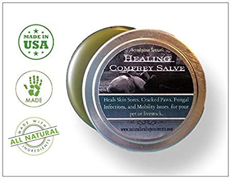 Healing Comfrey Salve. Handmade in U.S.A. Using Beyond Organic Practices. Natural Organic Balm Wounds, Sore Muscles, Post Surgery Healing, Joint Pain Arthritis. SOOTHES.Heals.RESTORES.