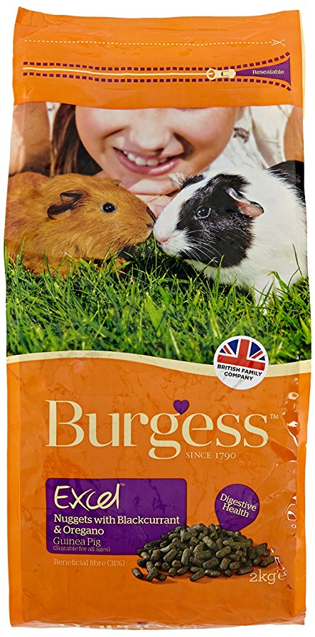 Burgess Excel Nuggets with Mint Guinea Pig Food 10 kg