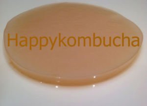 Happy Kombucha Basic Kombucha Starter Kit
