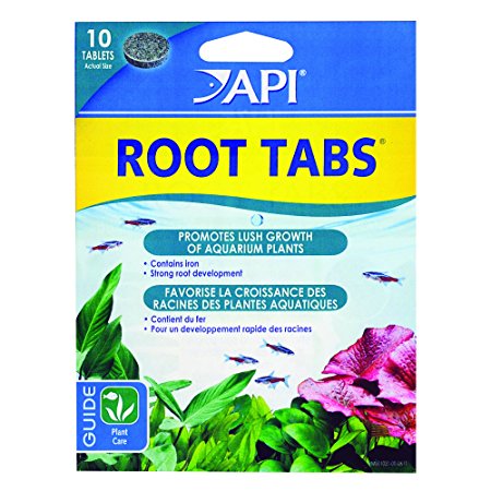 API Root Tabs