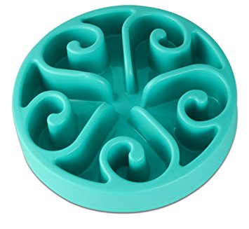 Color You Slow Feed Dog Food Bowl to Slow Down Eating, Non Toxic Interactive Anti-gulping Bloat Stop Pet Feeder