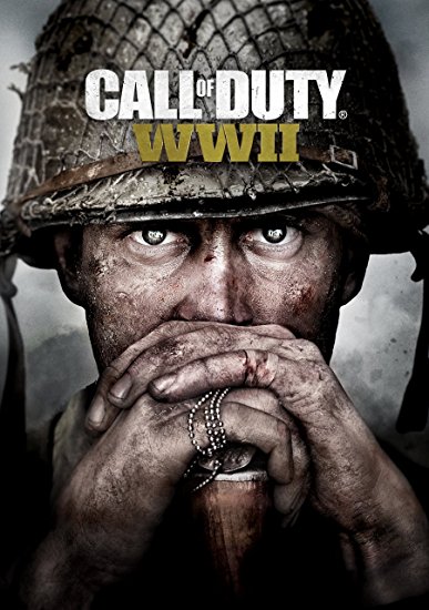 Call of Duty World War II: Standard [PC Code - Steam]