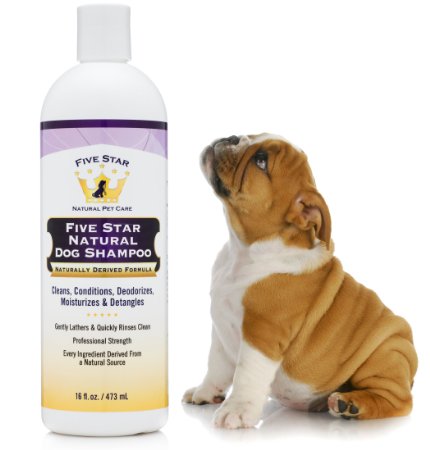 Five Star Natural Dog Shampoo & Conditioner - Soothing for Itchy, Sensitive, Dry Skin - Cleanser, Deodorizer, Moisturizer, Detangler - No Wet Dog Smell - Made in USA