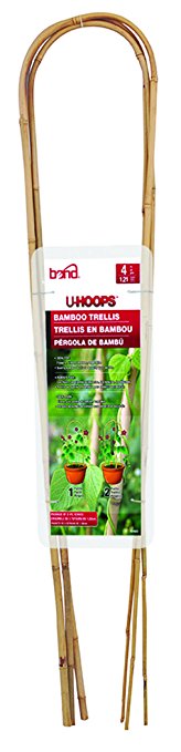 Bamboo U-Hoop, 4' Natural