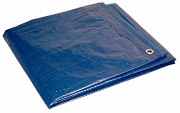 8' x 10' Dry Top Blue Full Size 7-mil Poly Tarp item #008104