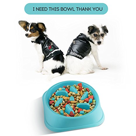 TryAce Slow Feeder Bowl for Dog Cat with Durable Material Pet Bowl