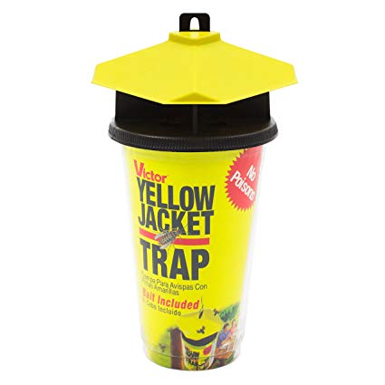 Victor Poison-Free M365 Disposable Yellow Jacket Trap with Bait