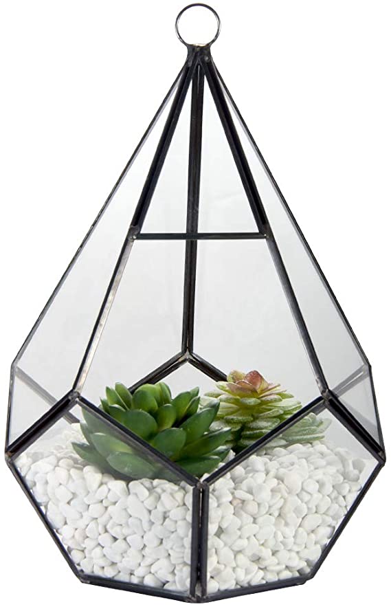 Glass Geometric Terrarium Container, ZOUTOG 6.7'' Air Plant Holder Window Sill Decor Shelves, Succulent Plant Cacti Fern Flower Pot Container, Geometric Decor for Air Plant, Diamond Shape