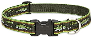 Lupine Pet Brook Trout 1" Adjustable Large Dog Collar