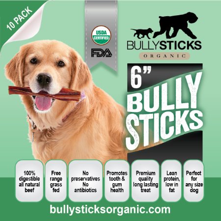 Bullysticks Organic Best 6 Inch Bully Sticks For Dogs - Big Bag 10 Pack Low Odor Dog Treats - All Natural Premium Beef - USDA/FDA Approved Hand Inspected Healthy Treat - 100% Happiness Guarantee!