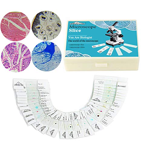 MAXLAPTER Microscope Slide for Students Kids Adults, 30 pcs Prepared Slide Box, Glass for Basic Biology and Science Education