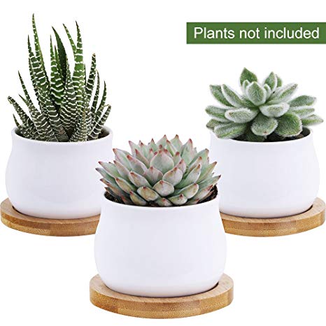 Winlyn 3 Piece Mini White Ceramic Succulent Planter Pot Cactus Plant Pot Set with Bamboo Bases