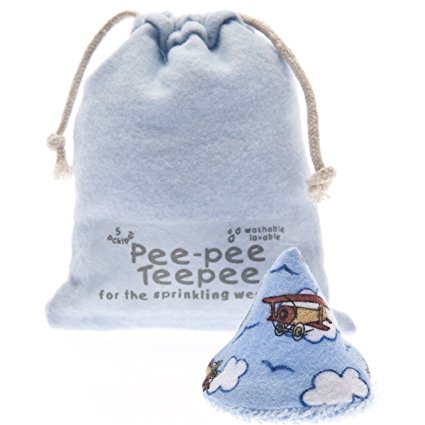 Pee-pee Teepee Airplane Blue - Laundry Bag