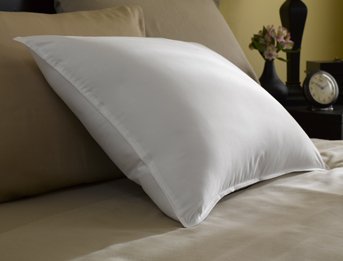 Restful Nights Trillium Standard Size 2-Pillow Set With 2 Standard Size Pillowtex Pillow Protectors