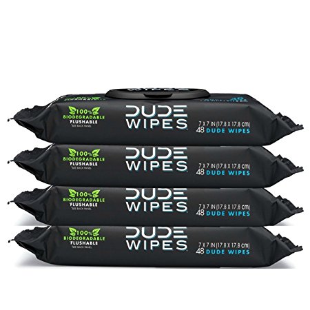 DUDE Wipes Flushable Wet Wipes, Unscented with Vitamin-E & Aloe, 100% Biodegradable, Dispenser (4 Packs, 48ct Per Pack)