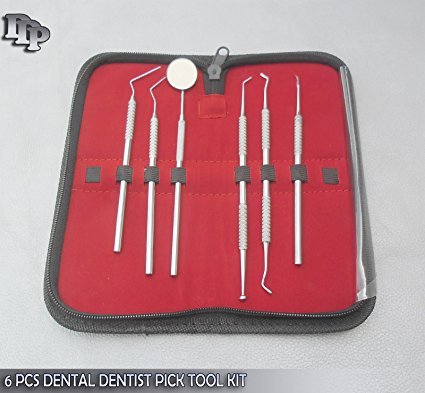 DDP Dental Dentist Pick Tool Kit 6 Piece