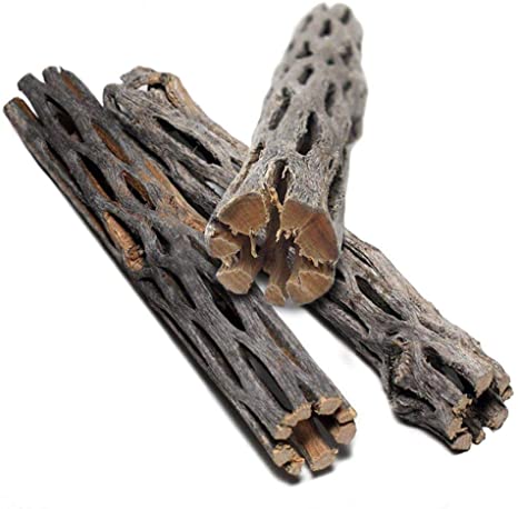 SunGrow Cholla Wood, 6 Inches Long, Dried Husk of Cholla Cactus, Excellent Food Source, Aquarium or Home Decor, for Dwarf Shrimp, Hermit Crabs, Pleco