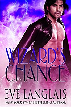 Wizard's Chance (The Realm Book 1)