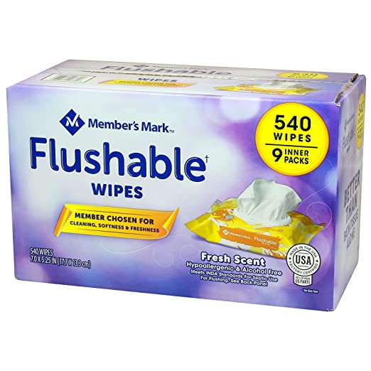 Member's Mark Flushable Wipes (9 pk., 60 wipes per pk.)