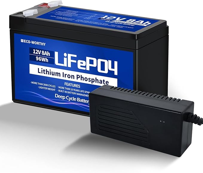 ECO-WORTHY 12V 8AH LiFePO4 Lithium Battery and 4A LiFePO4 Battery Charger, Built-in BMS, for UPS Backup Battery, Fish Finder, Kids Scooters, Alarm System