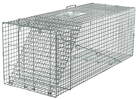 Havahart 1081 Live Animal Professional Style One-Door Large Raccoon, Small Dogs, and Fox Cage Trap
