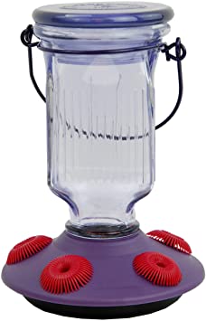 Perky-Pet 9101-2 Lavender Field Top-Fill Glass Hummingbird Feeder Purple 16 oz Capacity
