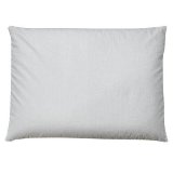 Original Sobakawa Buckwheat Pillow Sized 20 x 15
