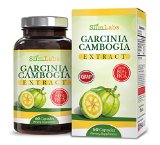 9733 EXTREME 80 HCA Garcinia Cambogia Extract Pure All Natural Formula 9733 30 DAY GUARANTEED WEIGHT LOSS PROGRAM 9733 Best Appetite Suppressant Belly Fat Burner Supplement Diet Pills That Works 100 Money Backed by Amazon Guarantee