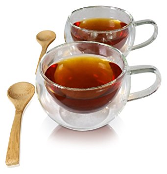 Princeton Wares Double Wall Glass Insulated Tea Cup Coffee Mug Set 2-Pack 12 oz with 2 Bamboo Teaspoons