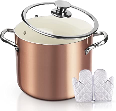 6.6 Litre Nonstick Stock Pot Soup Pasta Pot with Lid, FRUITEAM Multi Stockpot Oven Safe Cooking Pot for Stew, Sauce & Reheat Food, Induction/ Oven/ Gas/ Stovetops Compatible for Family Meals