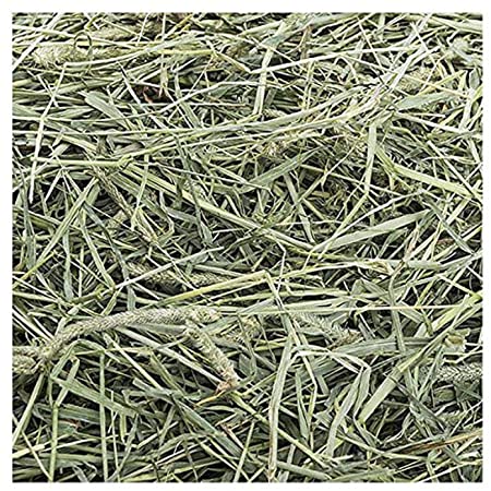 Small Pet Select 1St Cutting "High Fiber" Timothy Hay Pet Food