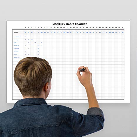 Erasable Monthly Habit Tracker // 17-Inch-by -28-Inch - White