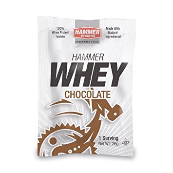 Hammer Nutrition Whey Protein 6 Chocolate, 6 Serving Container