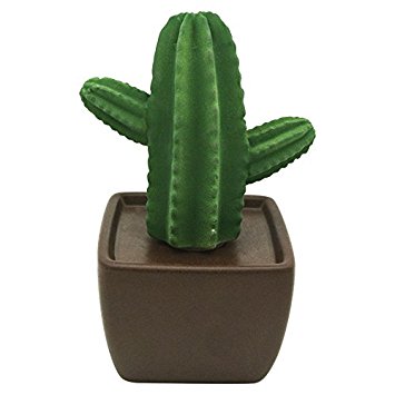 Ceramic fragrance diffuser essential oil for aromatherapy and decorate your place.Maxi Cactus(Brown vase)