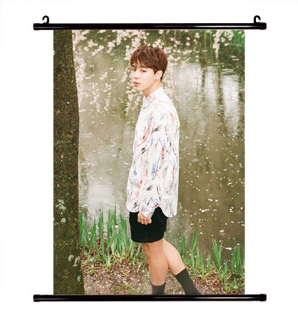 Fanstown BTS kpop in the love for mood wall scroll cloth poster with lomo cards