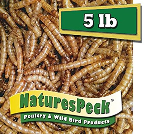 5 LBS-NaturesPeck® Premium Dried Mealworms for Wild Birds,Chickens & more