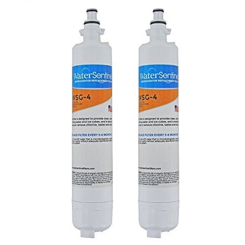 WaterSentinel WSG-4 GE RPWF Comparable Water Filter, 2-Pack