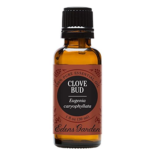 Clove Bud 100% Pure Therapeutic Grade Essential Oil by Edens Garden- 30 ml