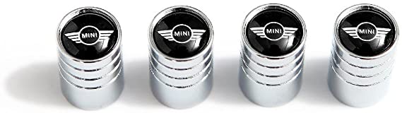 RUI Zinc Alloy Logo Silver Tire Stem Valve Caps (Apply for Mini)