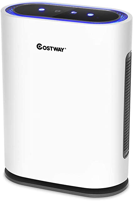 COSTWAY Ture HEPA Air Purifier Up to 540 Sq.Ft, Ionic Air Cleaner with Four Modes Timing Function, Sleep Mode and Manual Mode, Odor Eliminator for Allergies/Smoke/Dust (White)