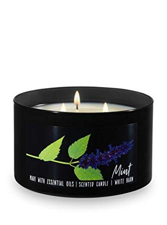 Bath and Body Works Mint 3 Wick 14.5 Oz Low Profile Candle