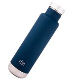 Cloud9 15-oz450-ml Double-Wall Thermal Stainless Steel Bottle With Tea Infuser
